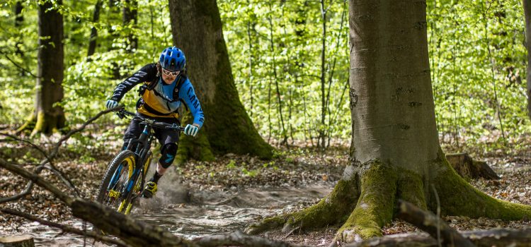 Mit den Dudes of Hazzard auf dem Flowtrail in Stromberg