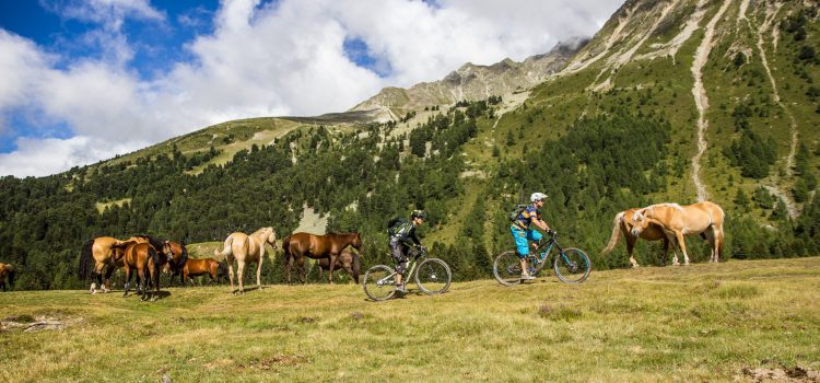 Reschenpass 2015: Naturtrails mit Liftunterstützung